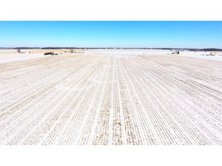Property photo 32 - OHIO REAL ESTATE AUCTION - 202+/- ACRES IN 3 TRACTS IN VAN WERT COUNTY, OHIO